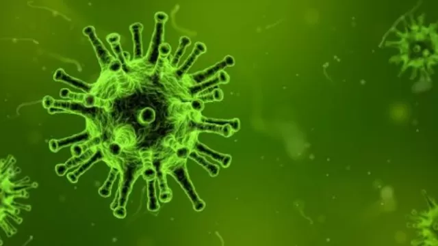 Yaravirus, el misterioso virus descubierto en Brasil que intriga a cient&iacute;ficos. Foto: Naci&oacute;n Farma