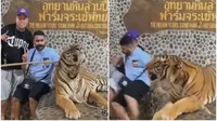  ¡Aterrador momento! Turistas posaron para la foto junto a un tigre, pero todo salió mal