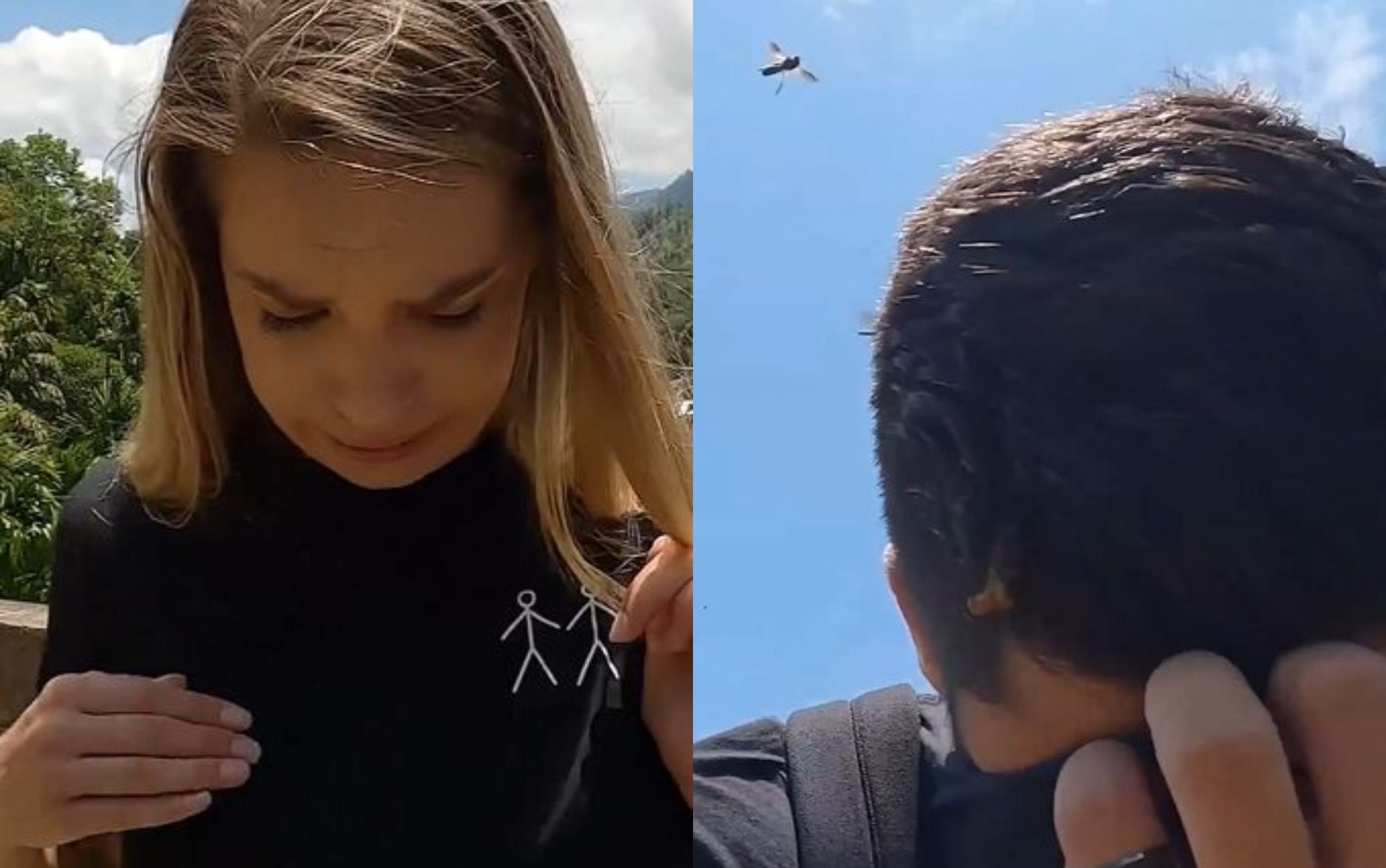 El aterrador video de una pareja de turistas que fue atacada por abejas ‘gigantes’