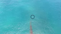 Chile: drone grabó supuesto OVNI en el mar