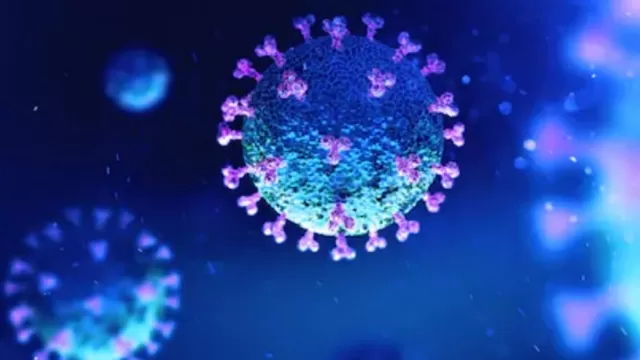 Coronavirus: Los 16 términos relacionados a la pandemia, qué significan y cómo escribirlos. Foto: Shutterstock