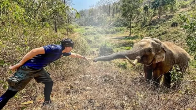 Facebook: El emotivo reencuentro de un elefante con el veterinario que le salvó la vida hace 12 años. Foto: Facebook @prhotnews02