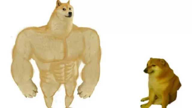 El origen del meme del perro grande y el pequeño que se volvió viral