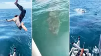 Joven se lanza al mar al ver lo que parecía ser un tiburón peregrino, pero fue mala idea