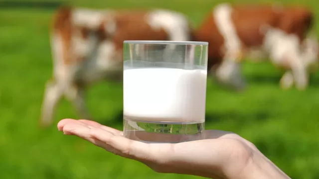 La leche es rica en calcio, pero no es la única fuente de este mineral. Imagen: biotrendies.com