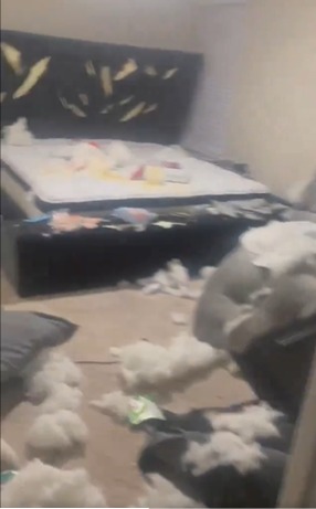 Mujer destrozó casa de su novio por no regalarle nada en San Valentín. Fotos: X