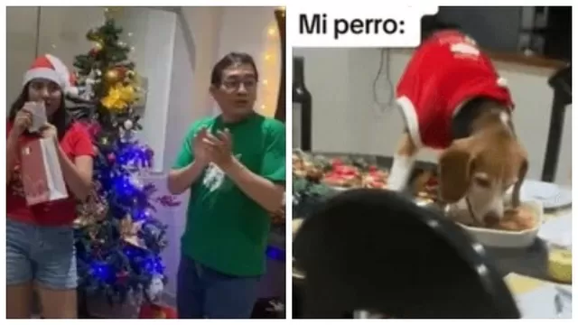 Perro se comió cena de Navidad mientras sus dueños intercambiaban regalos