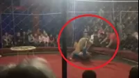 YouTube: el aterrador momento en que leona ataca brutalmente a una niña en circo
