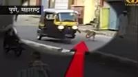 YouTube: Conductor de mototaxi sufre accidente por intentar patear a un perro
