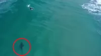 YouTube: Drone capta cómo un tiburón blanco se acerca peligrosamente a surfista