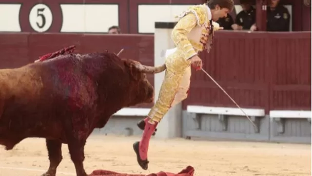 YouTube: el escalofriante momento en el que un torero francés recibe una brutal cornada