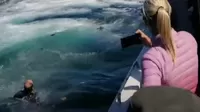 YouTube: Hombre casi es tragado por ballena luego que su bote chocara contra el animal