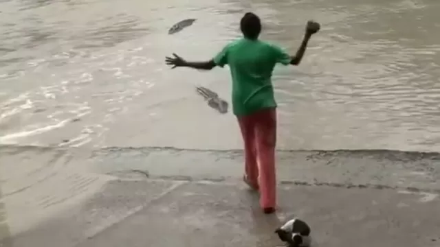 YouTube: mujer espantó a cocodrilos con su chancleta