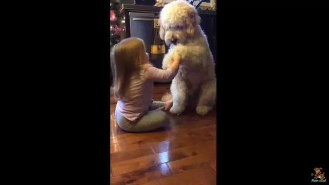 YouTube: niña le enseña a su perro a dar la pata