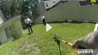 YouTube: Una policía usa una escoba para devolver a un caimán a un estanque