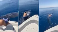 YouTube viral: Hombre salta encima de un tiburón ballena y lo monta