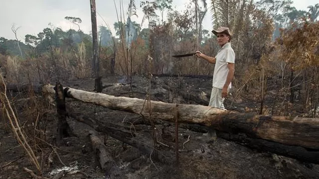 El Gobierno de Brasil busca soluciones para frenar los incendios