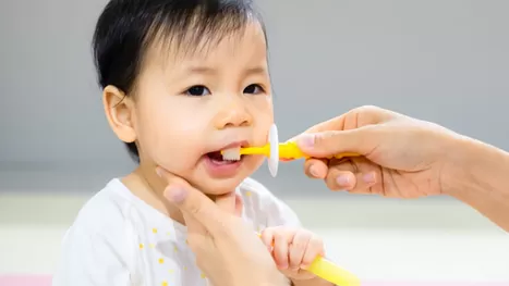 ¿Desde qué edad y cómo debes cepillar los dientes de tu bebé?