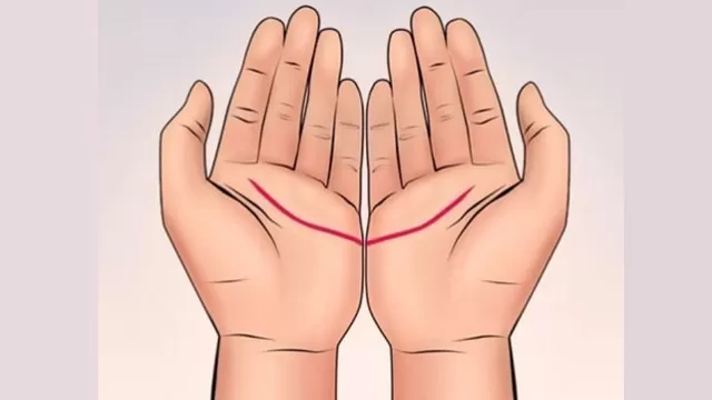 El significado de las líneas de las palmas de tus manos