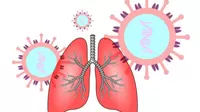 ¿Qué es lo peor que puede pasar en los pulmones tras la COVID-19?