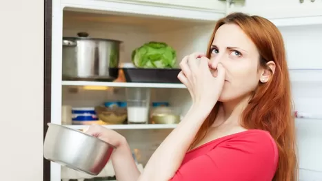 ¿Es realmente malo meter comida caliente en el refrigerador?
