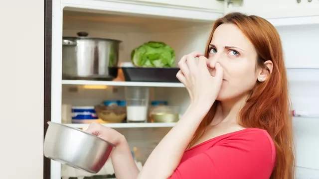 ¿Por cuánto tiempo se puede guardar la comida en el refrigerador?