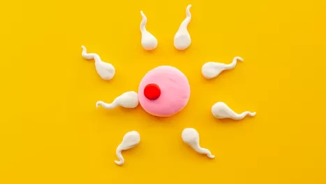 ¿Cuánto tiempo viven los espermatozoides dentro y fuera del cuerpo?