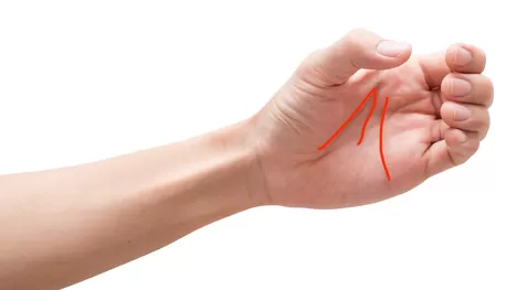 El significado de las líneas de tus manos que debes conocer