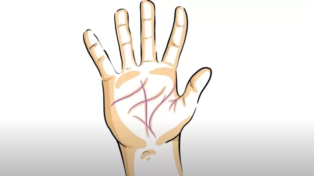El significado de las líneas en las palmas de tu mano