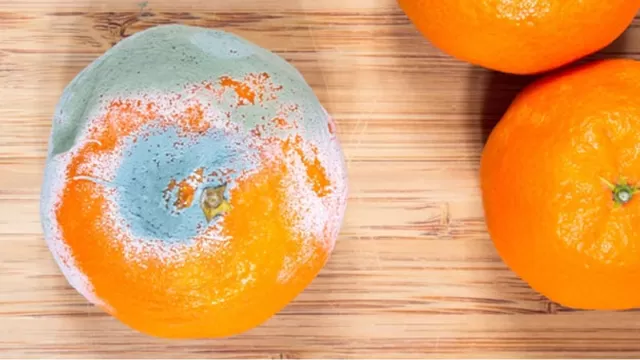 En frutas con alto contenido de agua como la naranja, el moho penetra fácilmente Foto: Shutterstock