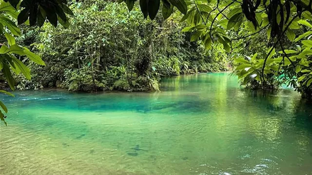Las hermosas pozas del río Tío Yacu en San Martín