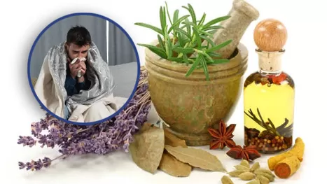 ¿Cómo aliviar los síntomas del COVID-19 con plantas medicinales?