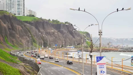¿En qué playas de Lima se agrupan aves que expulsan heces peligrosas?