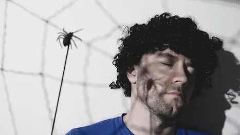¿Qué significa soñar con arañas y que te pican?