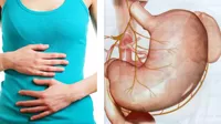 Ruidos en el estómago: ¿cuándo pueden ser señal de algo grave?