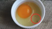 ¿Qué significan las manchas rojas en el huevo crudo?